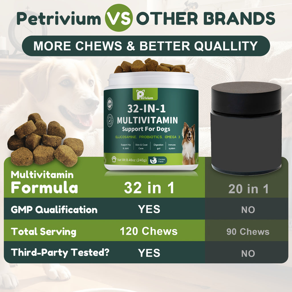 dog multivitamin chewable   msm   3 6