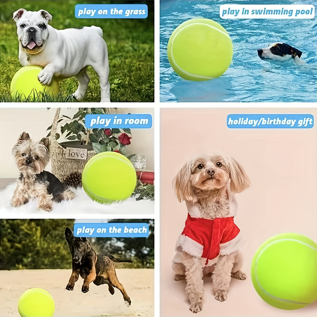 needle giant   pet tennis ball